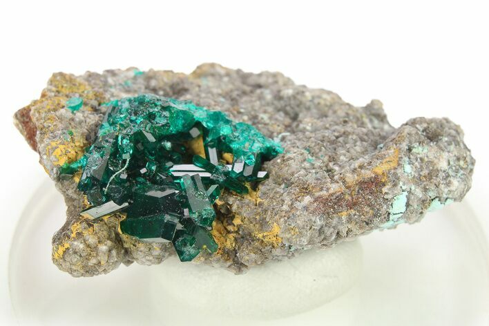 Lustrous Dioptase Crystal Cluster - Congo #272934